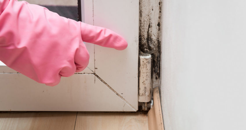 mold prevention